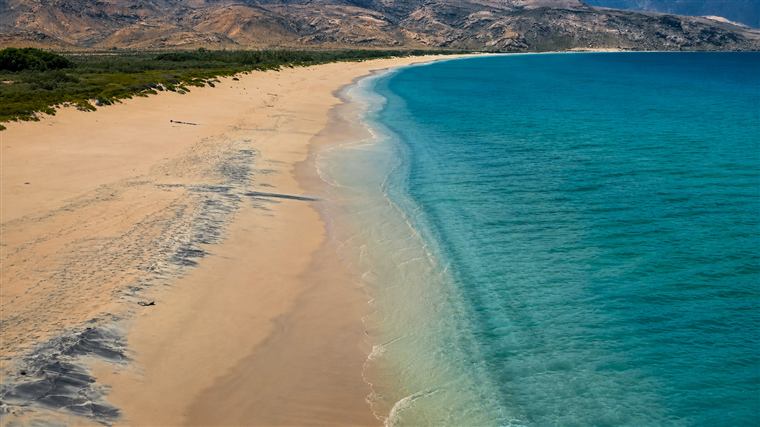 شواطئ سقطرى — Socotra beaches
