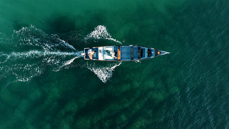 بحر العرب — Arabian Sea