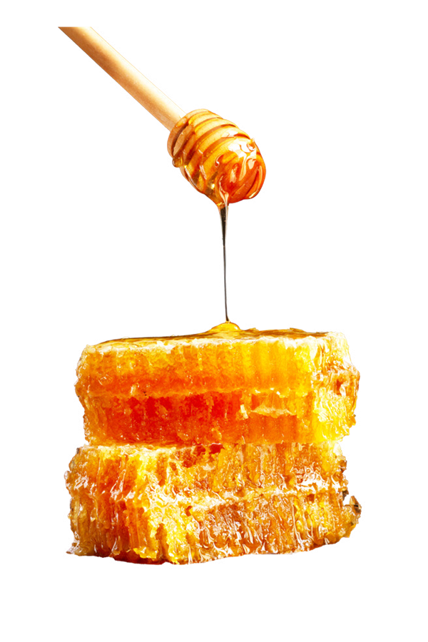 العسل اليمني — Yemeni honey