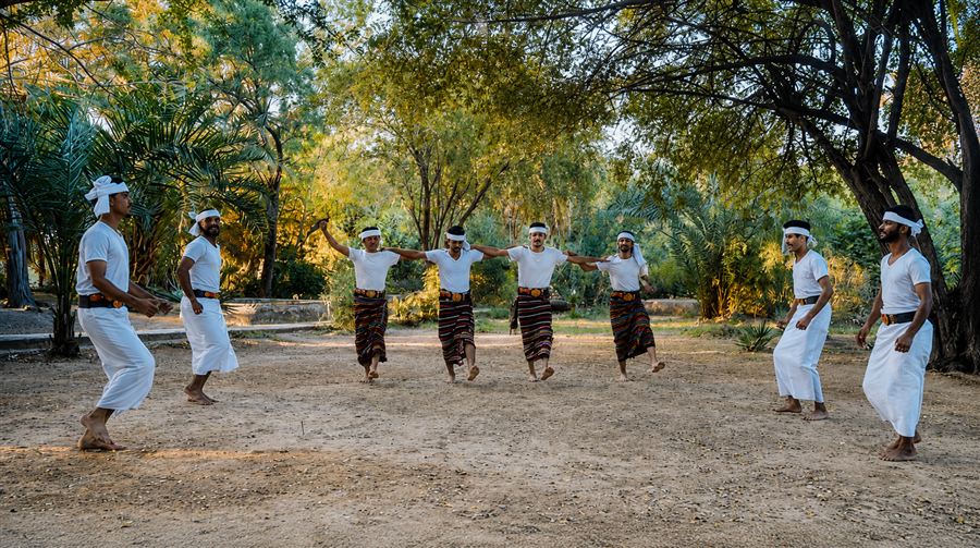 رقصة شعبية جماعية — Group folkloric dance